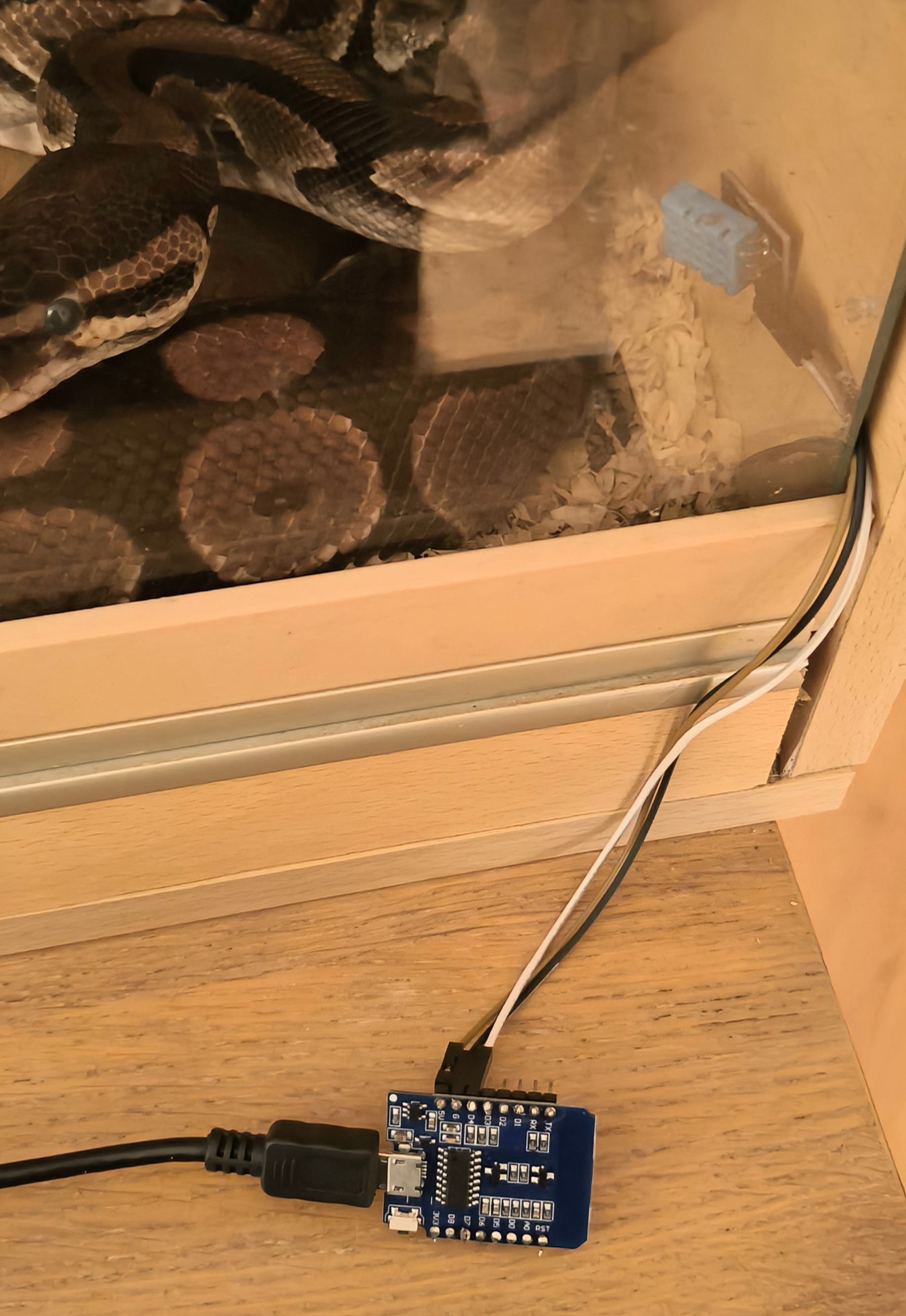 Electronic setup within terrarium